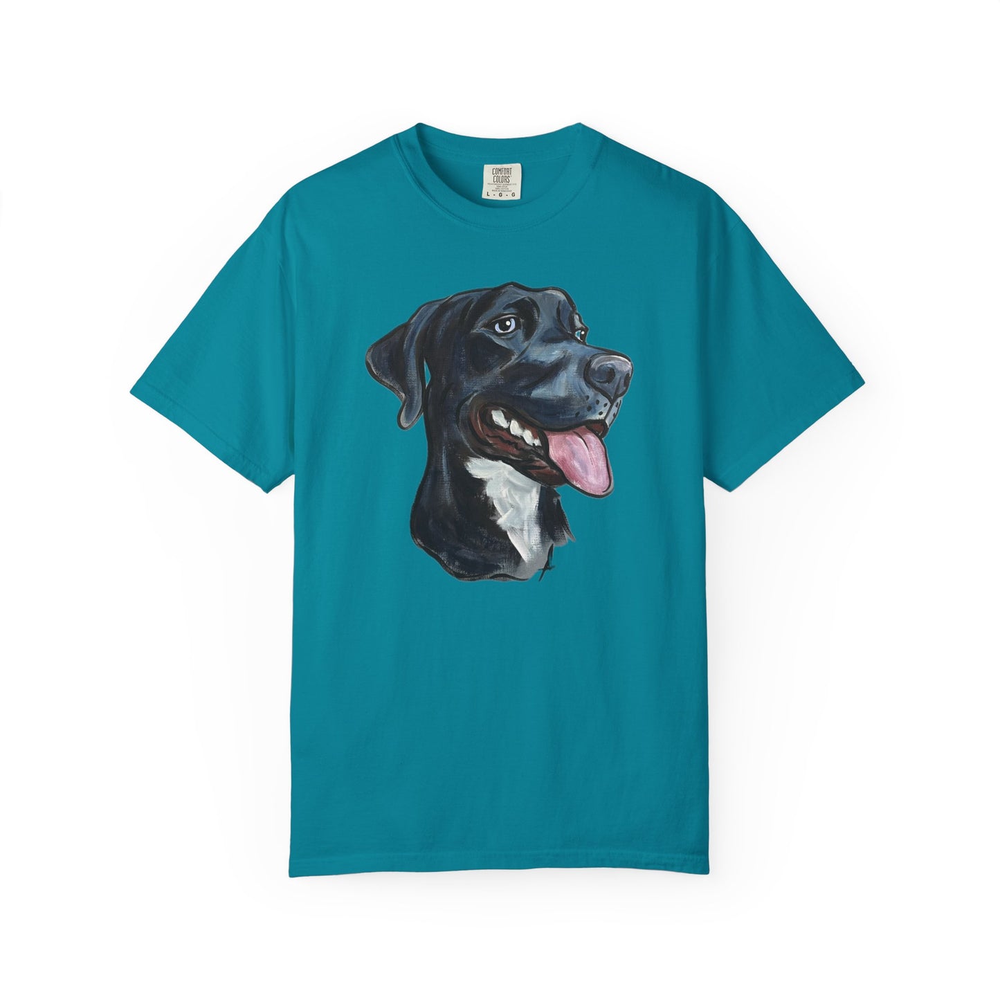 TEAL t-shirt with a custom hand painted pet caricature portrait graphic on a white background