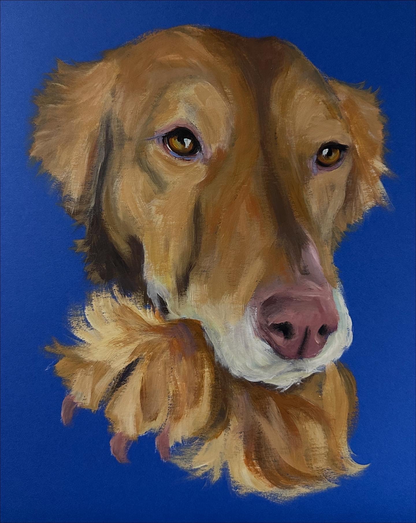 Studio Style Portrait