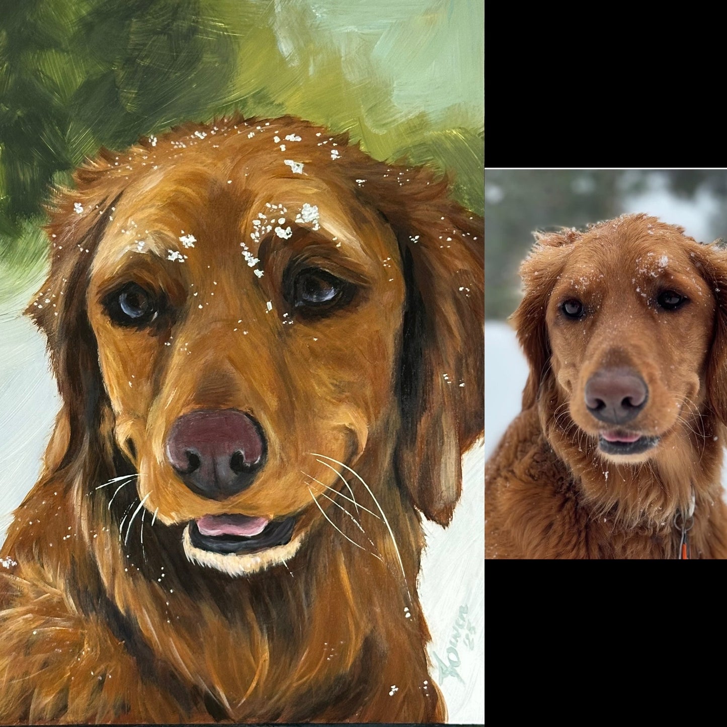 Custom Fine Art Pet Portraits