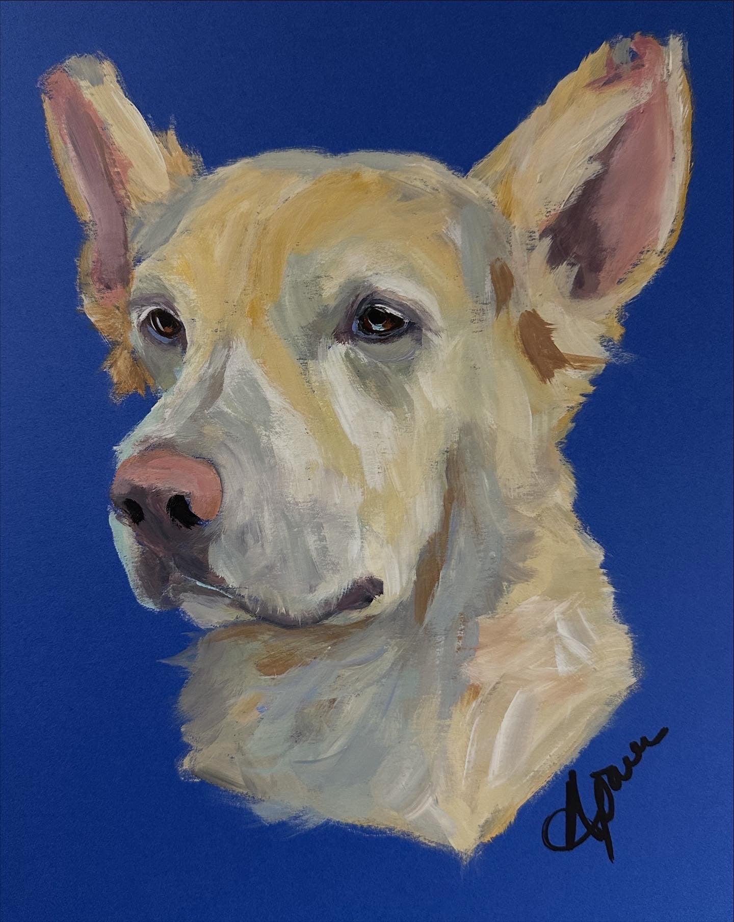 Studio Style Portrait