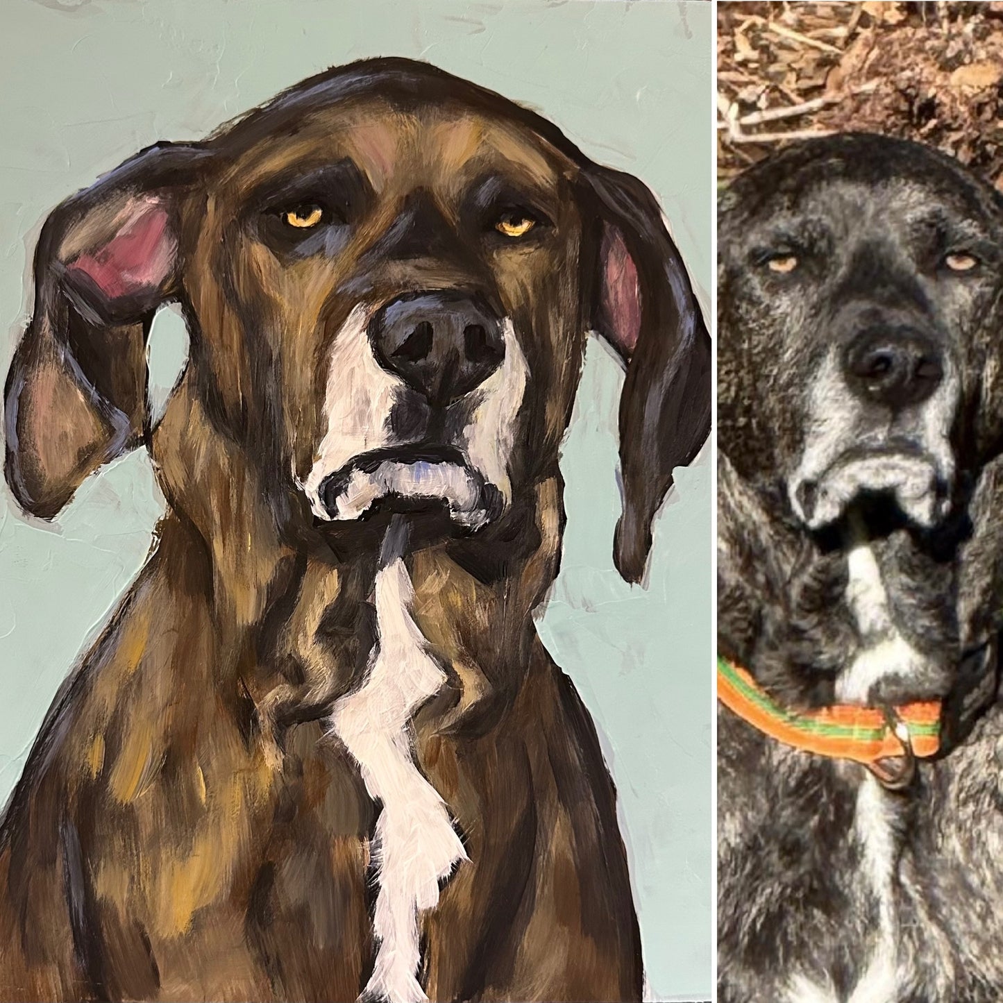 Custom Fine Art Pet Portraits