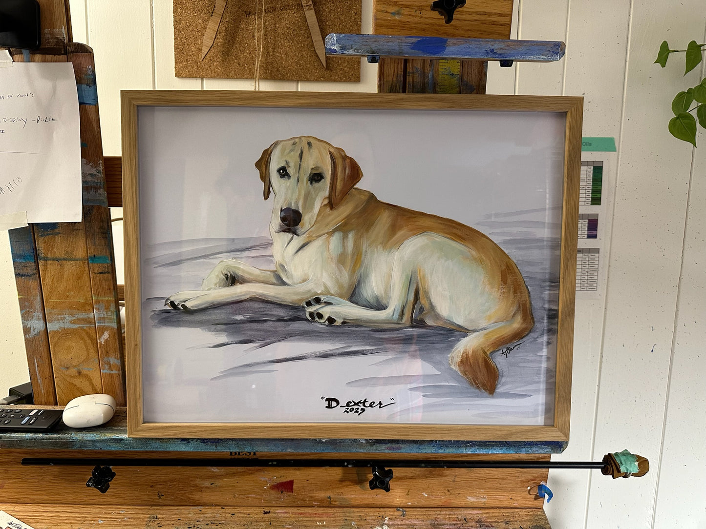 Studio Style Portrait