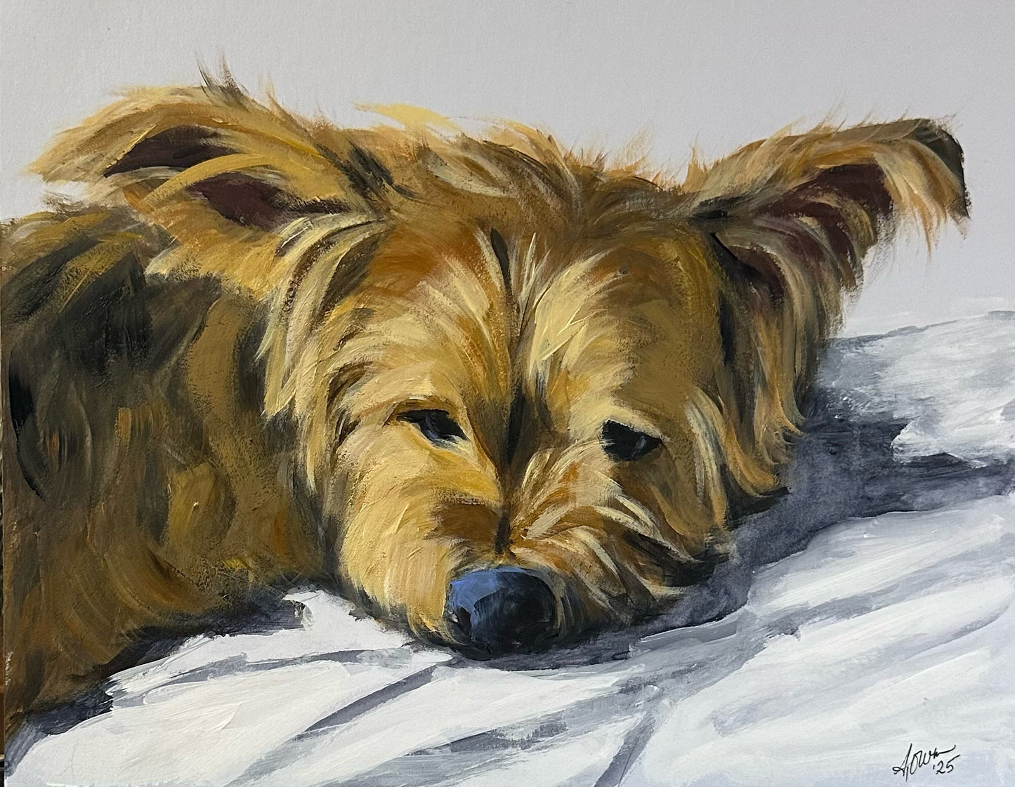 Studio Style Portrait