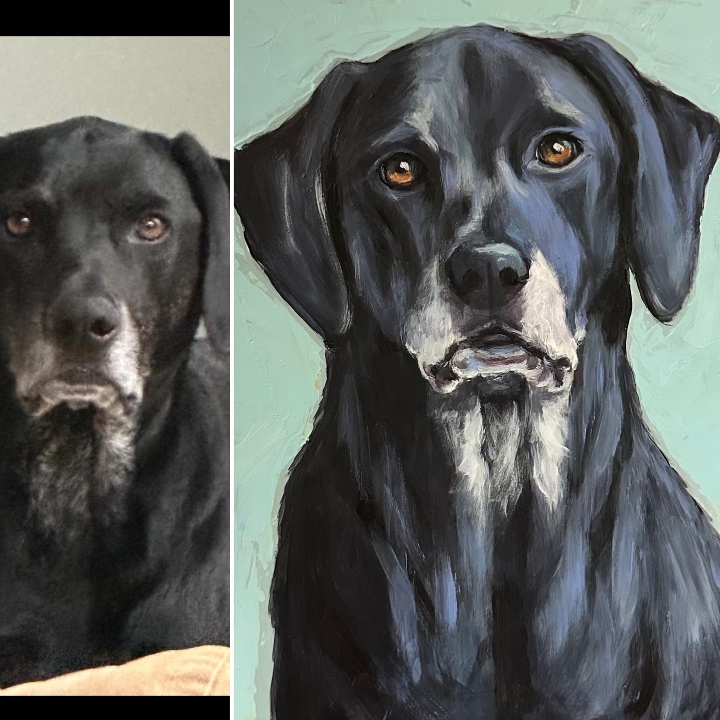 Custom Fine Art Pet Portraits