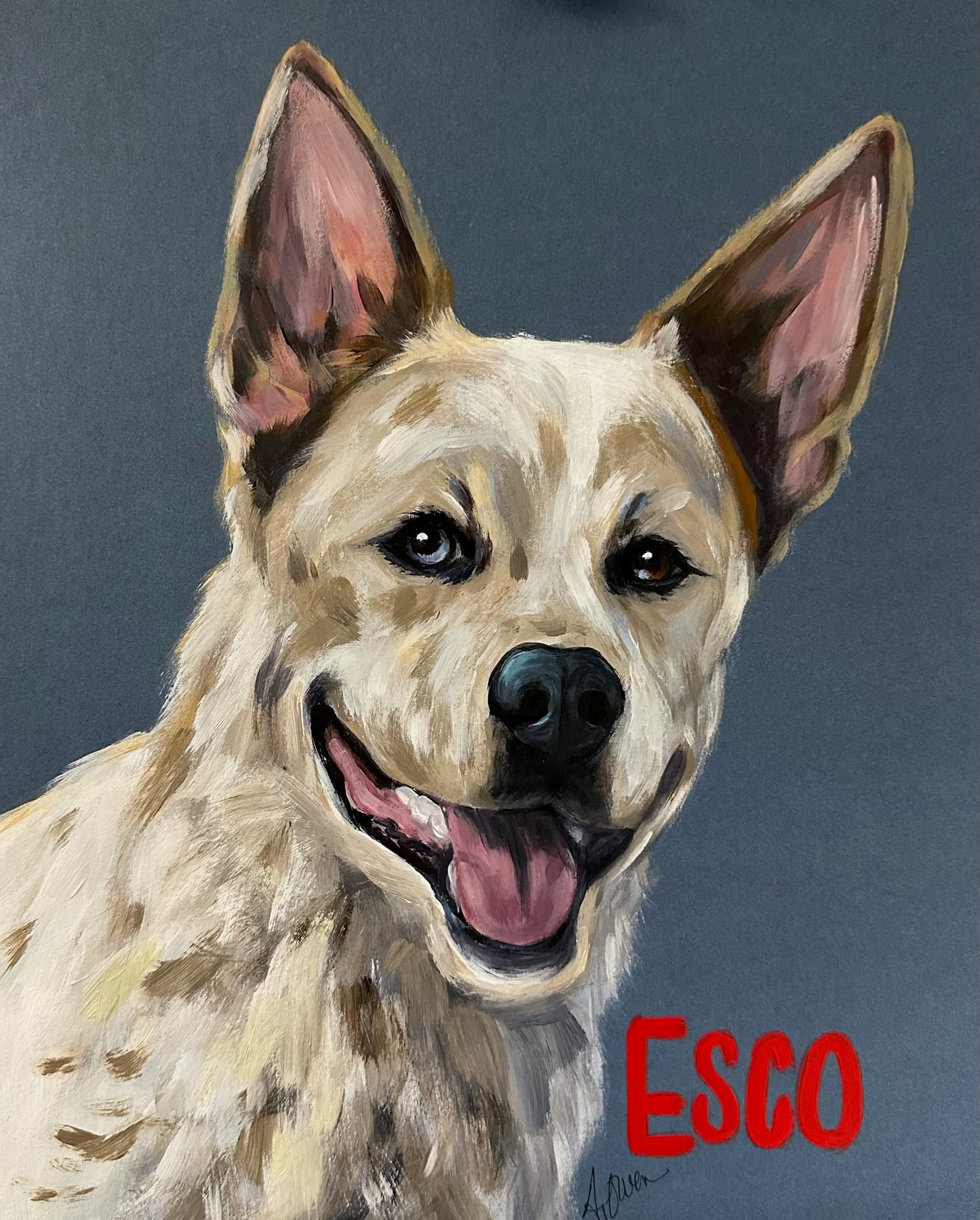 Studio Style Portrait