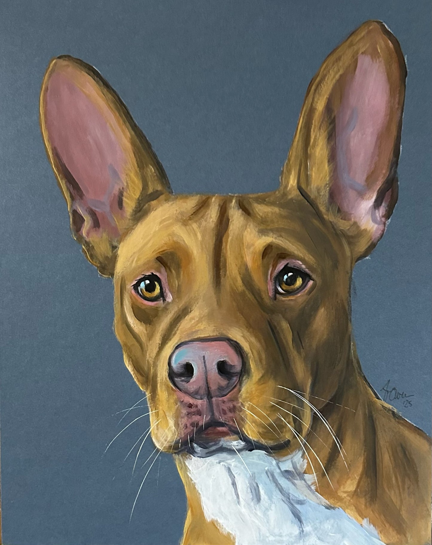 Studio Style Portrait