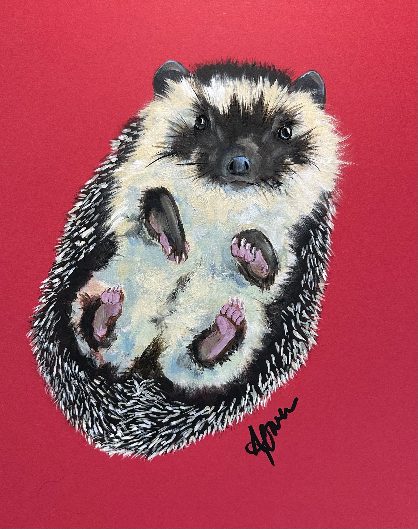 Studio Style Portrait