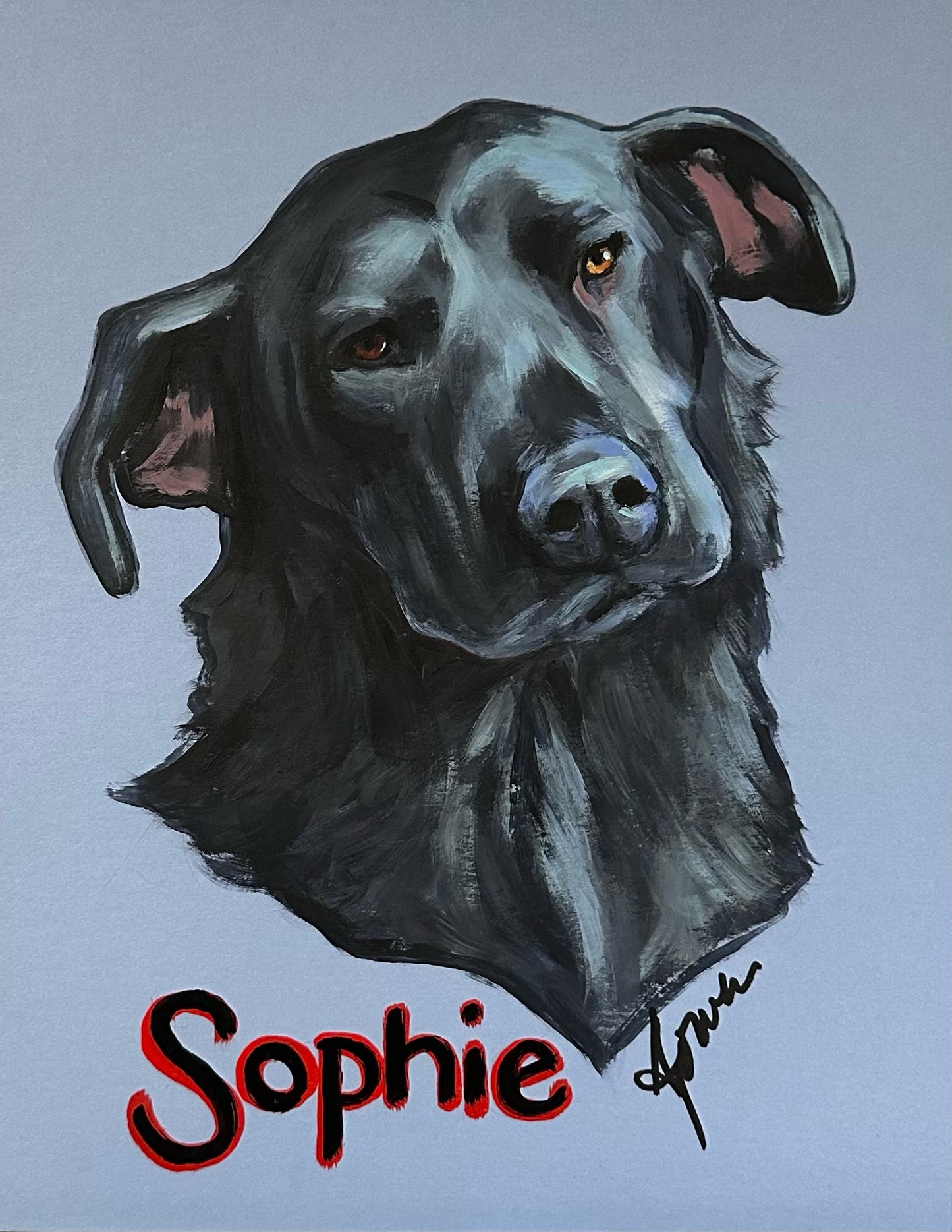 Studio Style Portrait