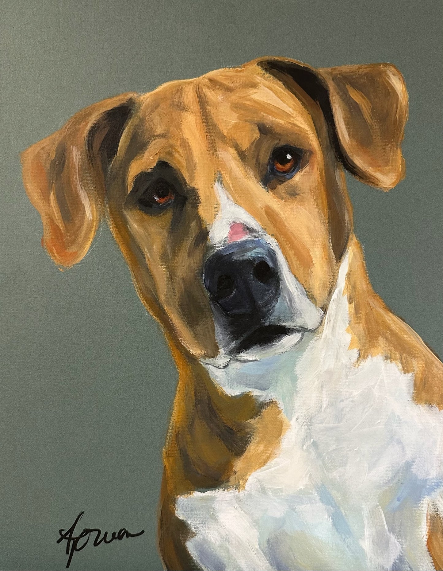 Studio Style Portrait